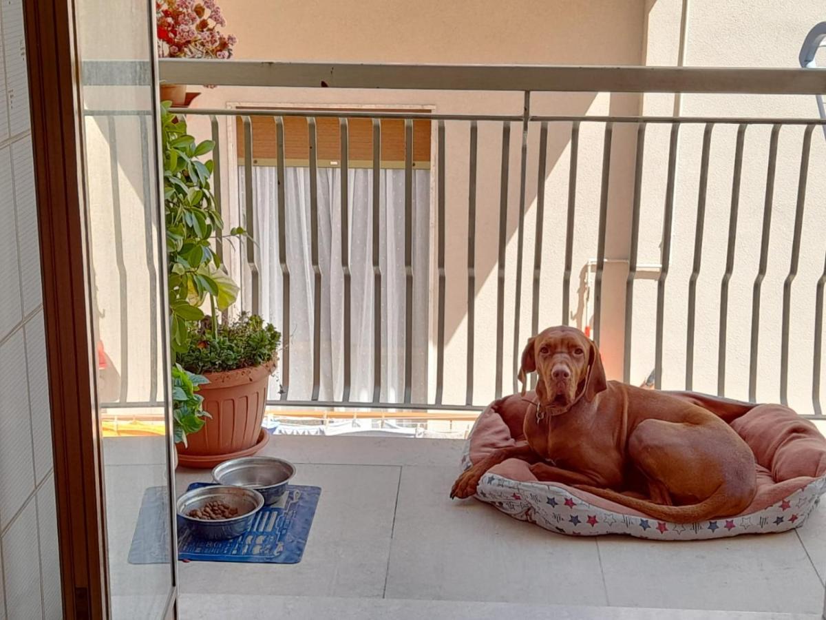 B&B Famigliare Arcadia Polignano Polignano a Mare Luaran gambar